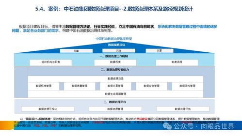 構(gòu)建卓越數(shù)據(jù)資產(chǎn) XX集團數(shù)據(jù)治理體系建設(shè)方案之數(shù)據(jù)處理服務(wù)篇